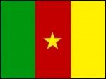 Cameroon - Nationalflag 160 g. polyester.
