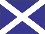 Skotland - Nationalflag 160 g. polyester.
