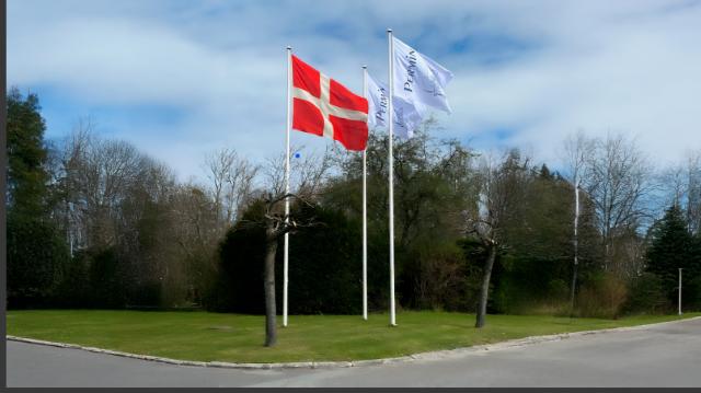 Flag til erhvervskunder